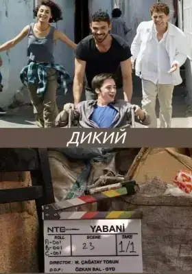 Дикий (2023)